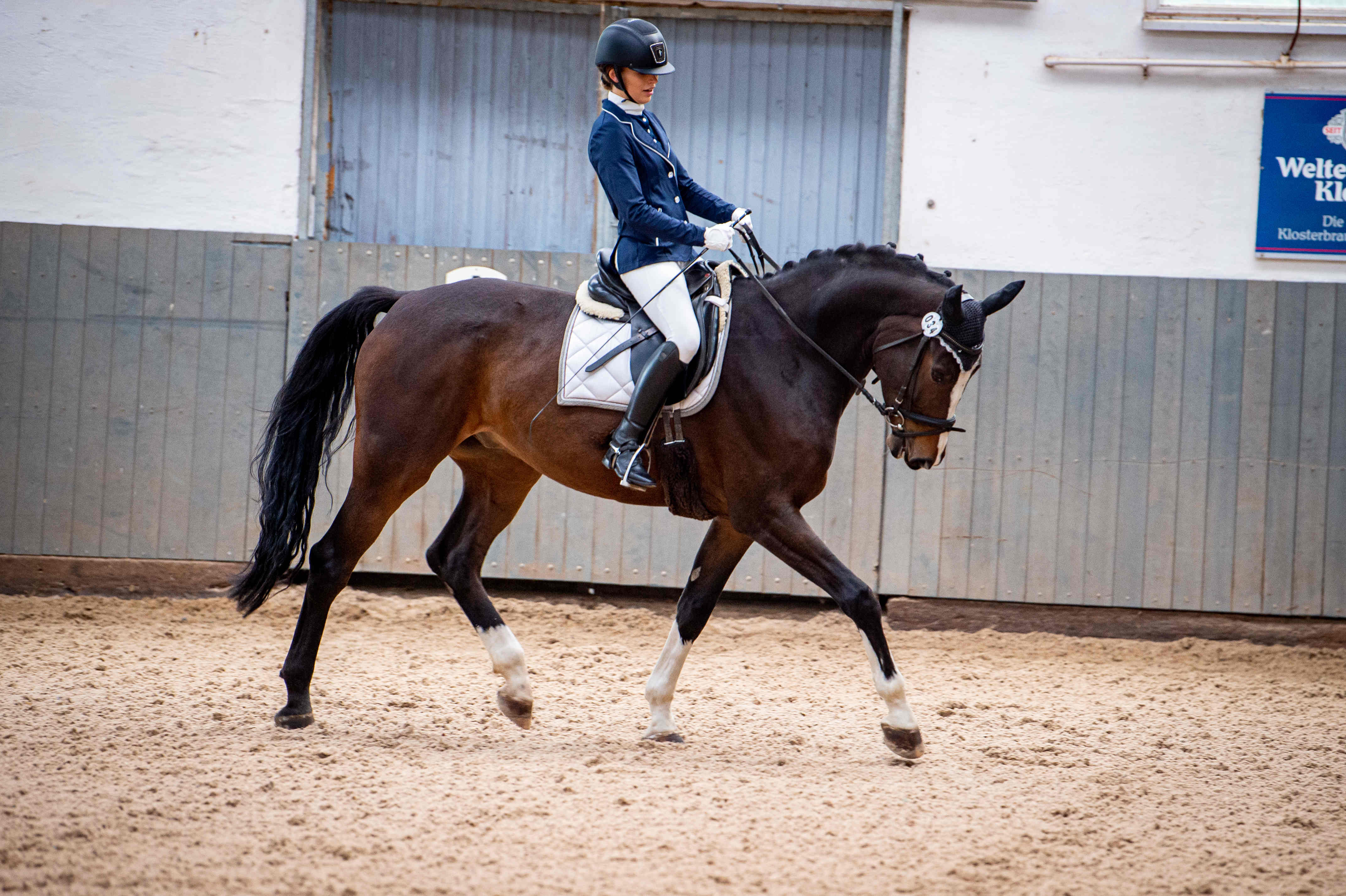 Dressurpferd Feenzauber - Pferdezucht - Reitsatll Kilian